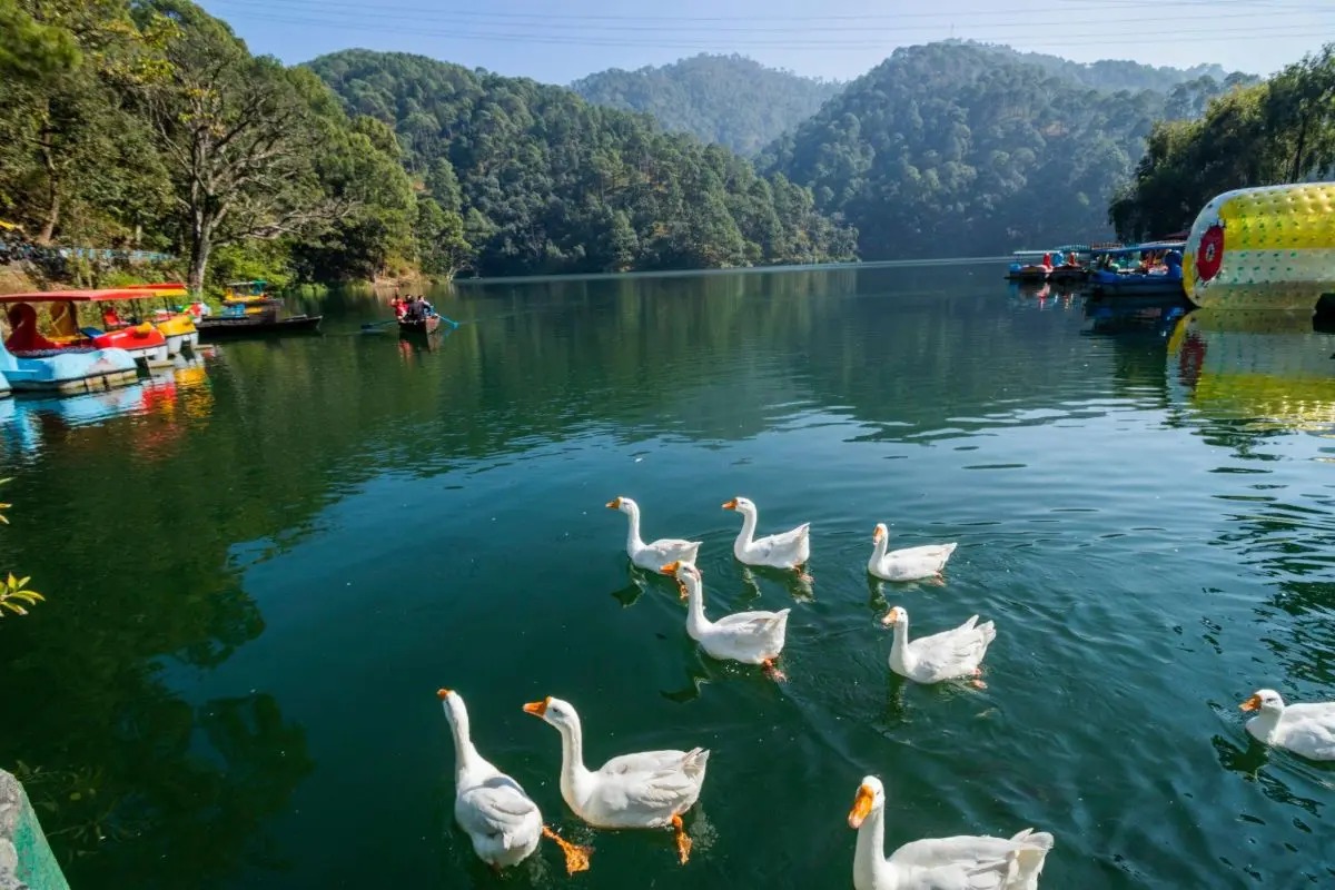 Naukuchiatal Lake